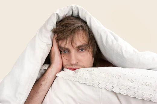 Are you Craving Sleep?