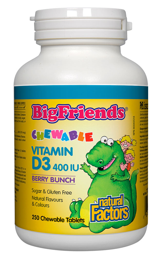 NATURAL FACTORS BIG FRIENDS Vitamin D 400iu (Berry Bunch - 250 chews)