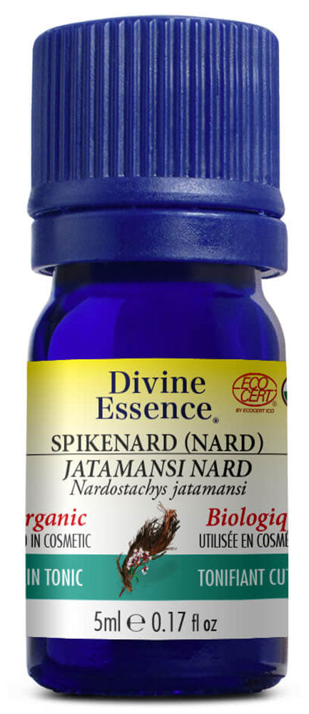 DIVINE ESSENCE Spikenard (Nard - Organic - 5 ml)