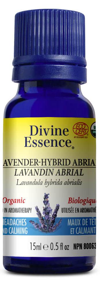 DIVINE ESSENCE Lavender Hybrid - Abrial (Organic - 15 ml)